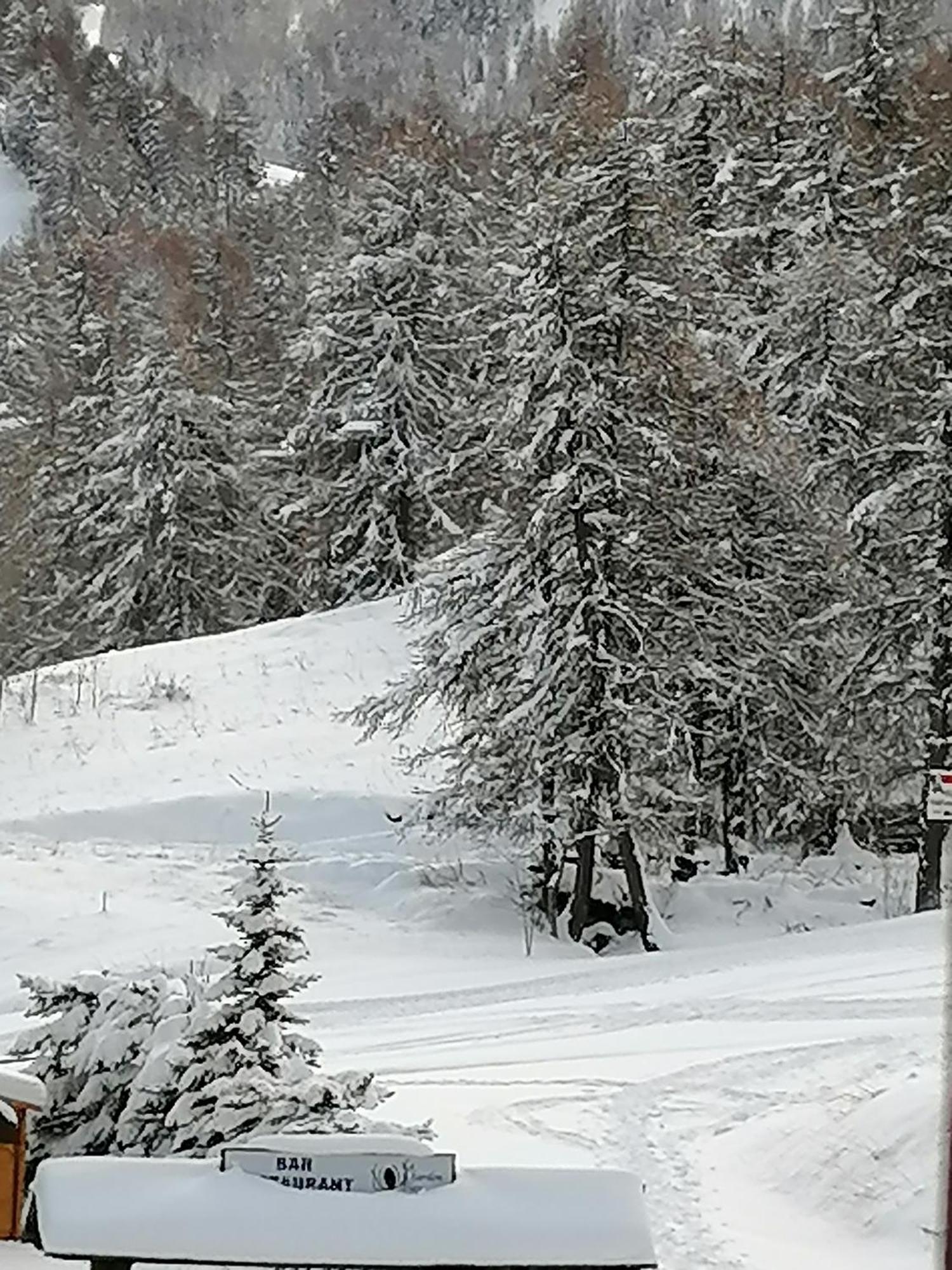 Coeur D'Altair Risoul 1850 Appartement T2 Confortable Skis Aux Pieds A 300 M Centre Extérieur photo